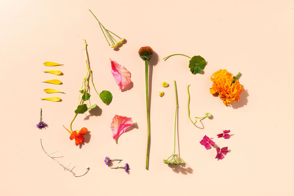 Spring Selection Page 2 Love Tea