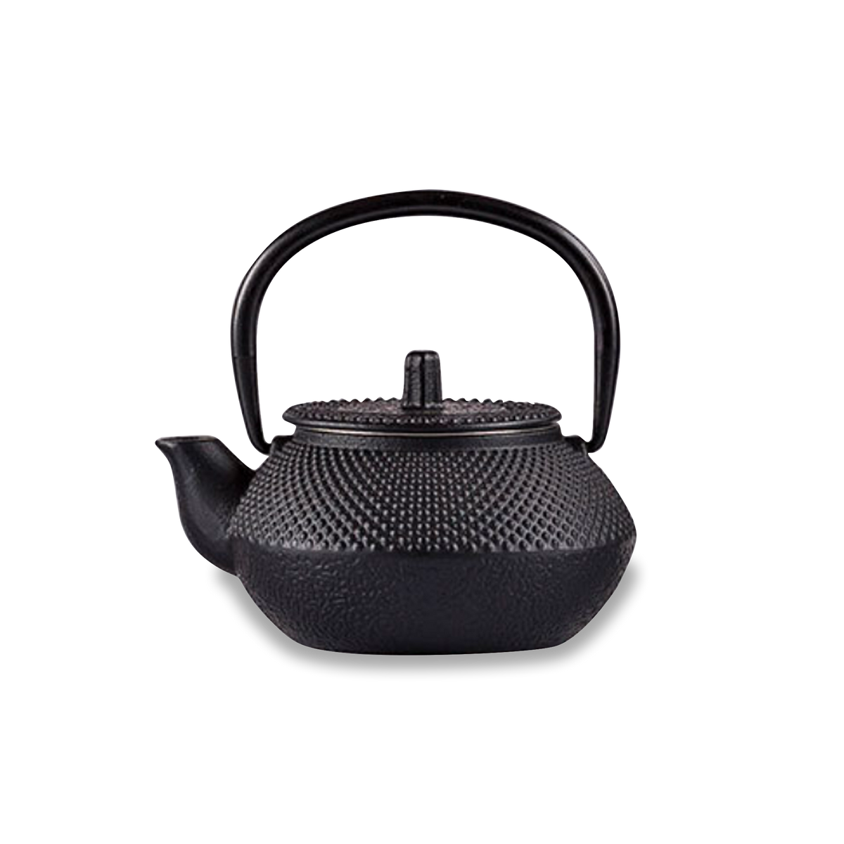 Iron Teapot 300mL