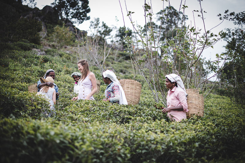 Love Tea - Certified Organic Tea – LOVE TEA